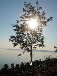 WP_002127 Medium Web view