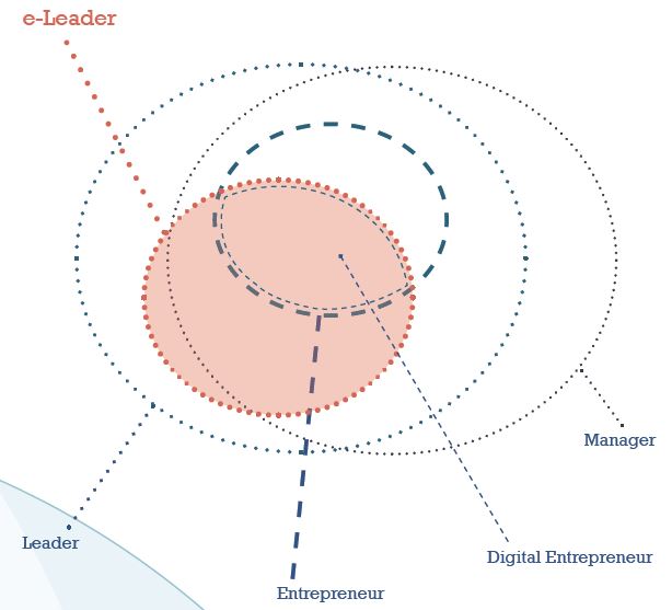 forrás: "E-Leadership: Skills for Competitiveness and Innovation" - European Commission