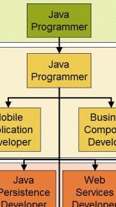 JavaProgrammer