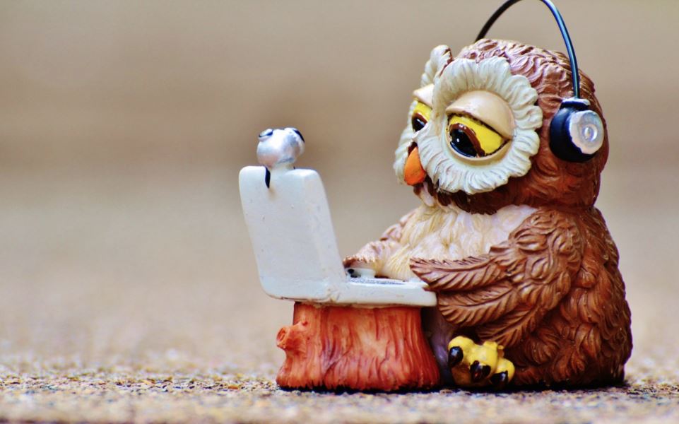 distant-learning-owl